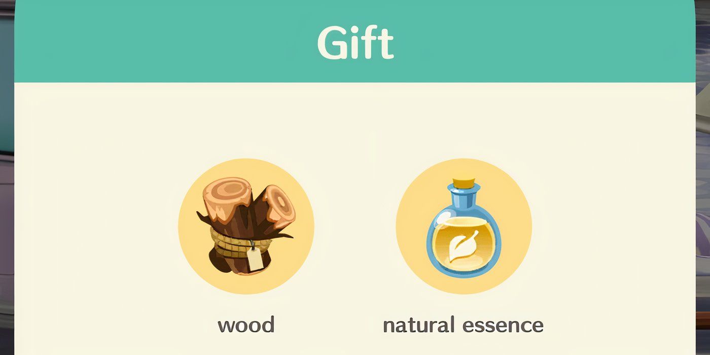 Regalo completo di Animal Crossing Pocket Camp.