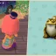 Guía definitiva para conseguir una rana de la suerte en Animal Crossing: Pocket Camp