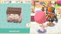 Animal Crossing: Pocket Camp Guide – Étapes pour obtenir la vitrine