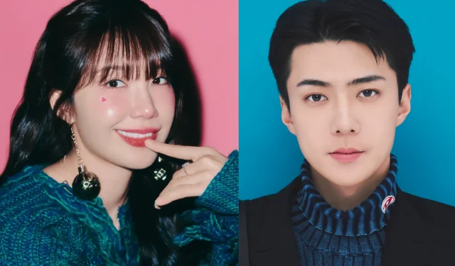 具有 INTP 人格类型的著名偶像：发现像 Apink 的 Eunji 和 EXO 的 Sehun 这样的“天才”