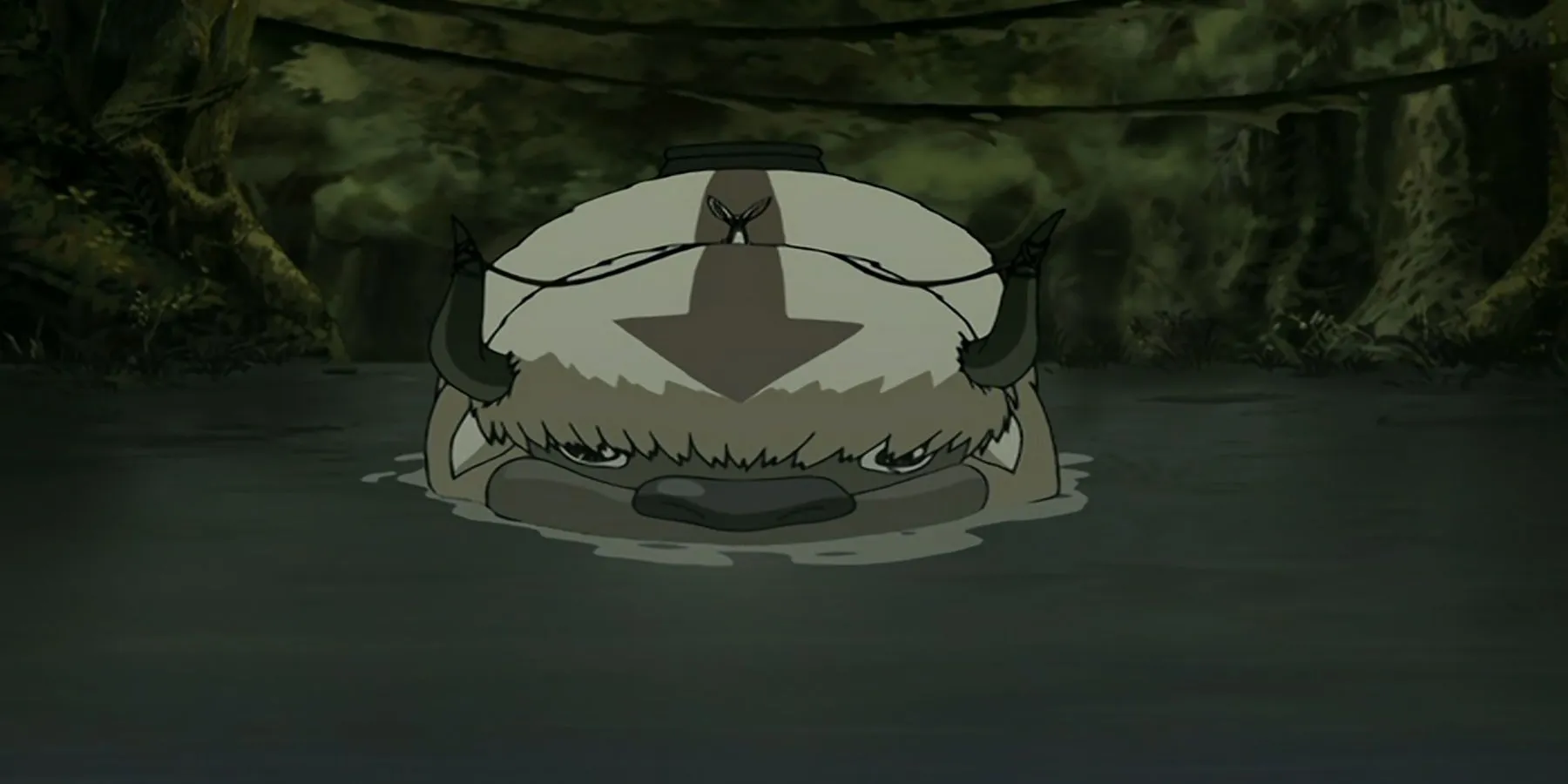 Appa in a swamp