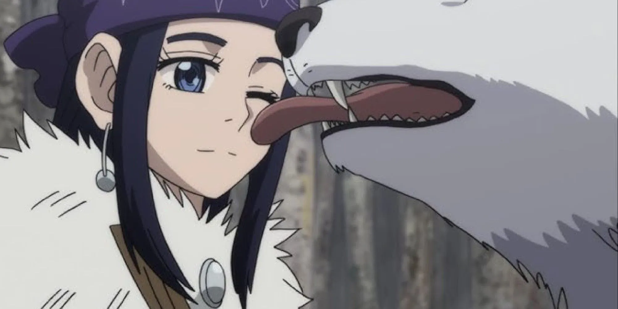 Asirpa Immagine 3