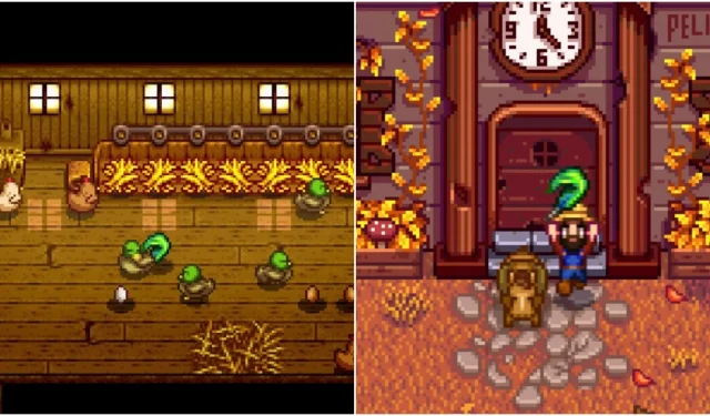 Stardew Valley ガイド: アヒルの羽の入手方法とその用途