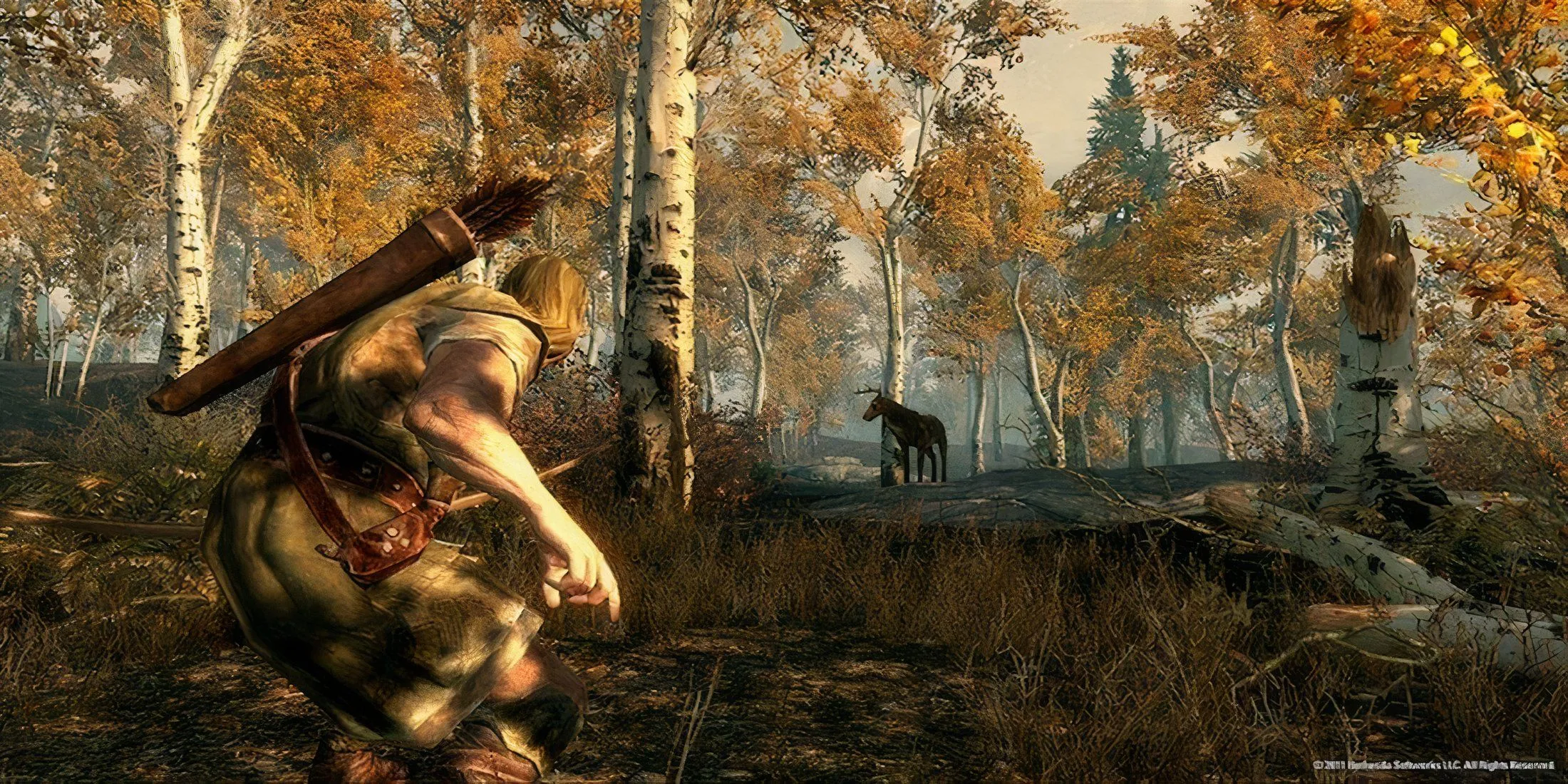 Skyrim forest hunt scene