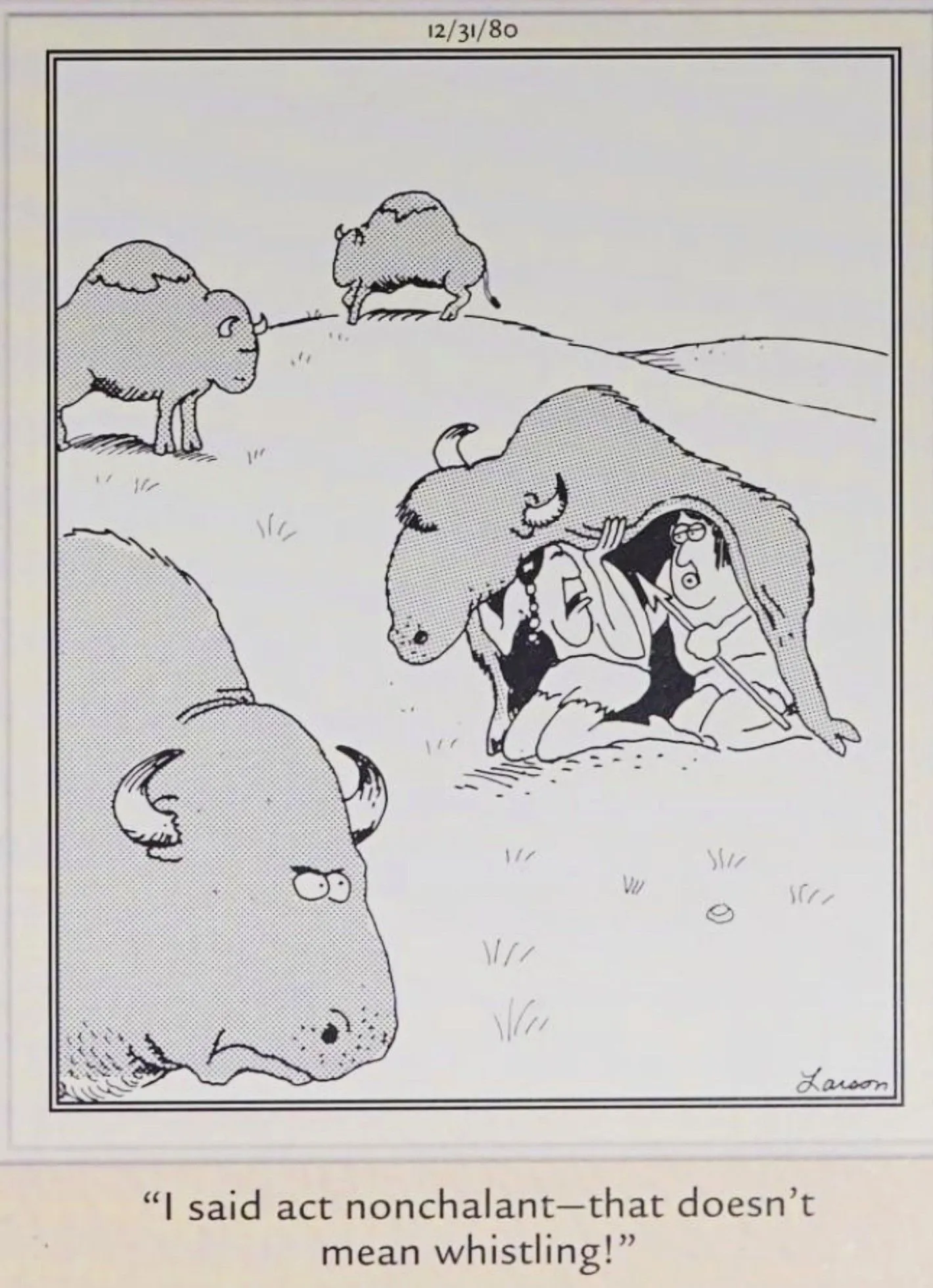 Far Side, 31. Dezember 1980, Jäger und Sammler tarnen sich schlecht als Büffel