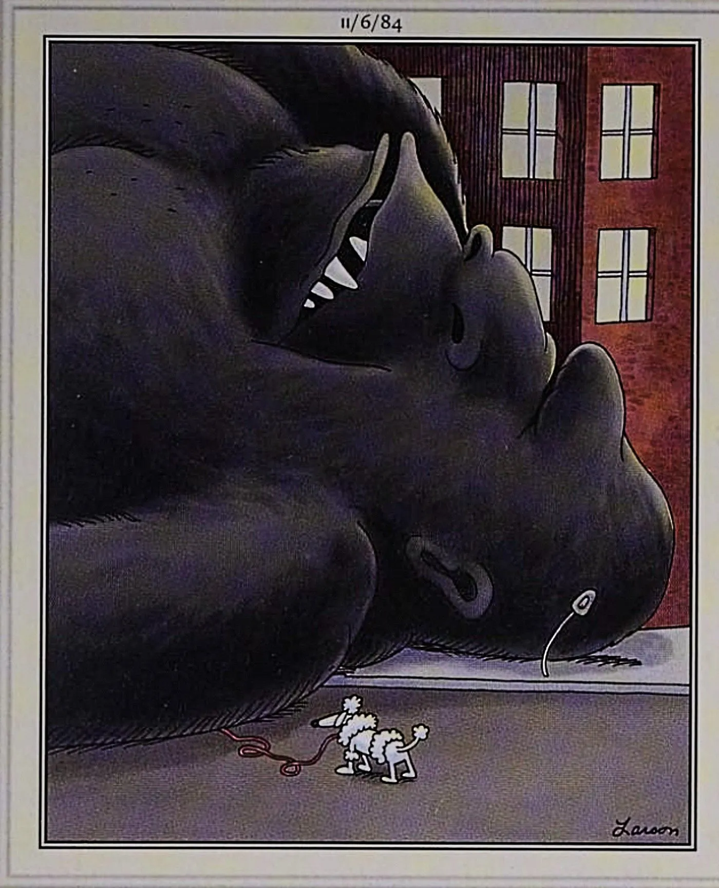 Far Side, le propriétaire du chien écrasé par King Kong tombé