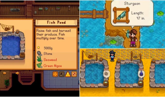 Guide ultime des étangs à poissons de Stardew Valley