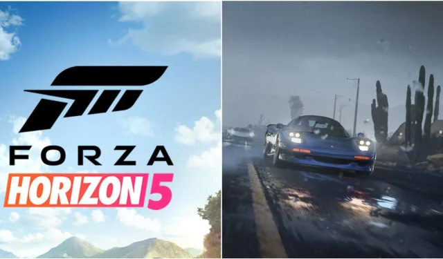 Forza Horizon 5: 에디션 간 차이점 이해