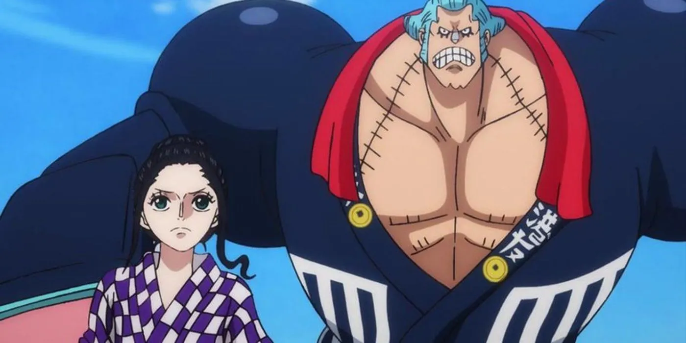 Franky e Robin de One Piece