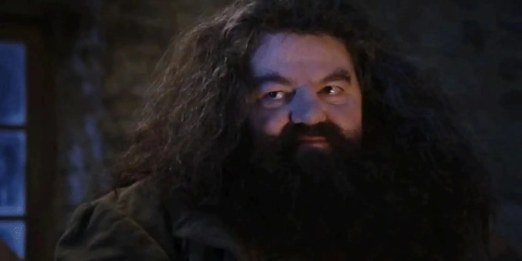 W filmie Harry Potter i Kamień Filozoficzny Hagrid mówi Harry'emu, że jest czarodziejem.