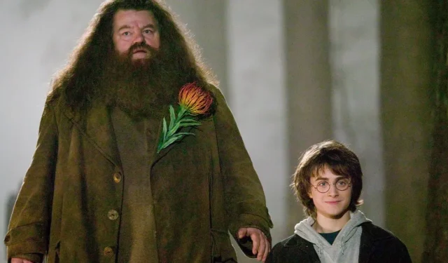 “How Did They Achieve That?”: VFX Artists Explain How the $7.7B Harry Potter Movies Altered Hagrid’s Height Representation