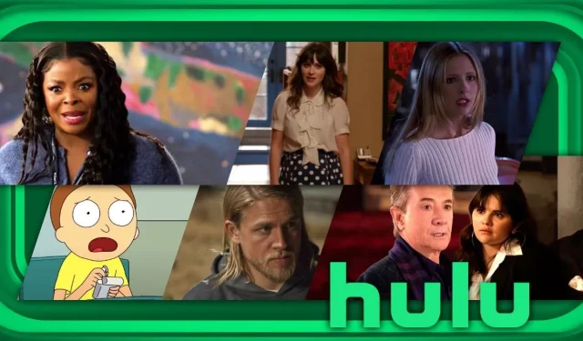 Die 30 besten Hulu-TV-Sendungen zum Ansehen im Januar 2025