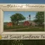 Des moyens rapides pour gagner de l’argent dans Farming Simulator 25