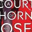 Confronto tra il potenziale dello show Court of Thorns & Roses e l’adattamento trascurato di Sarah J. Maas di Hulu