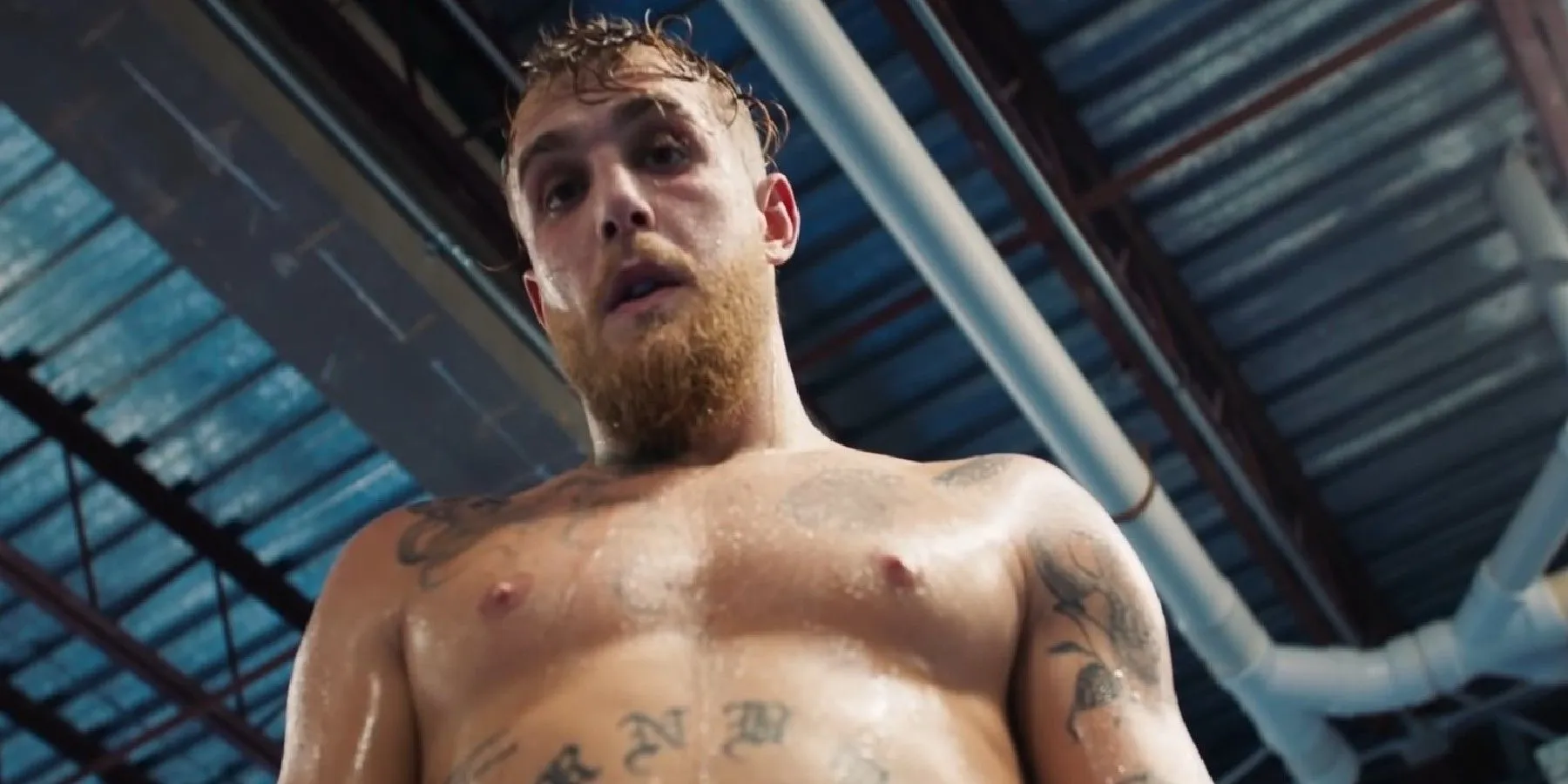 Azione di boxe di Jake Paul