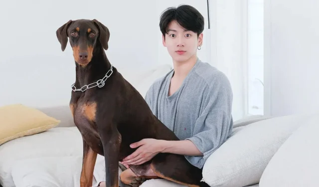 BTS Jungkook 推出 Dog Bam YouTube 頻道，無內容訂閱人數突破 50 萬