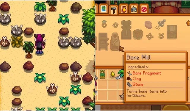 Guida di Stardew Valley: posizioni dei frammenti ossei e loro usi