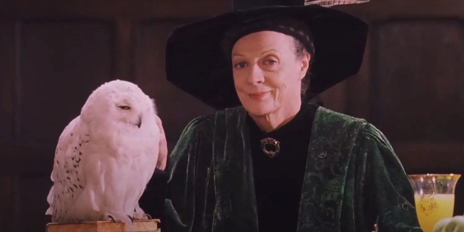 McGonagall lächelt Harry an