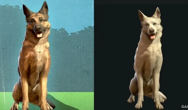 Cómo funcionan las mascotas del campamento en Fallout 76