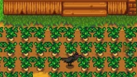 So setzen Sie Vogelscheuchen in Stardew Valley effektiv ein