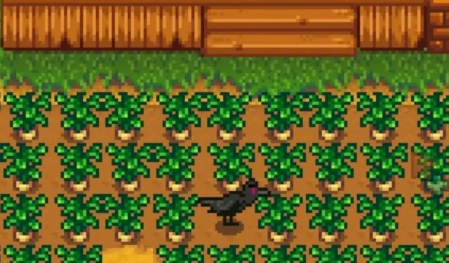 Jak skutecznie używać strachów na wróble w Stardew Valley