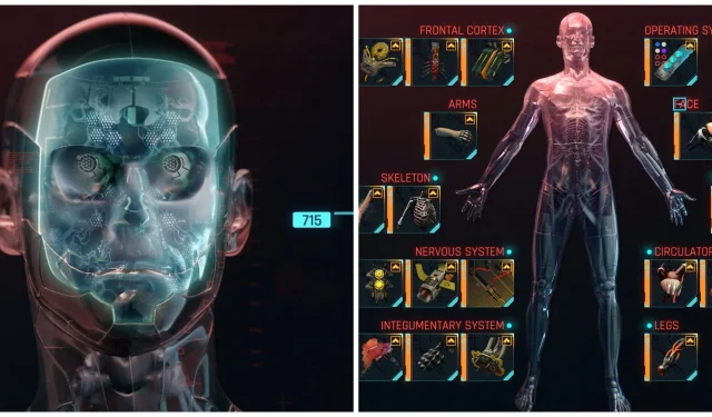 Les meilleures options de Cyberware pour chaque emplacement dans Cyberpunk 2077 (et les emplacements pour les trouver)