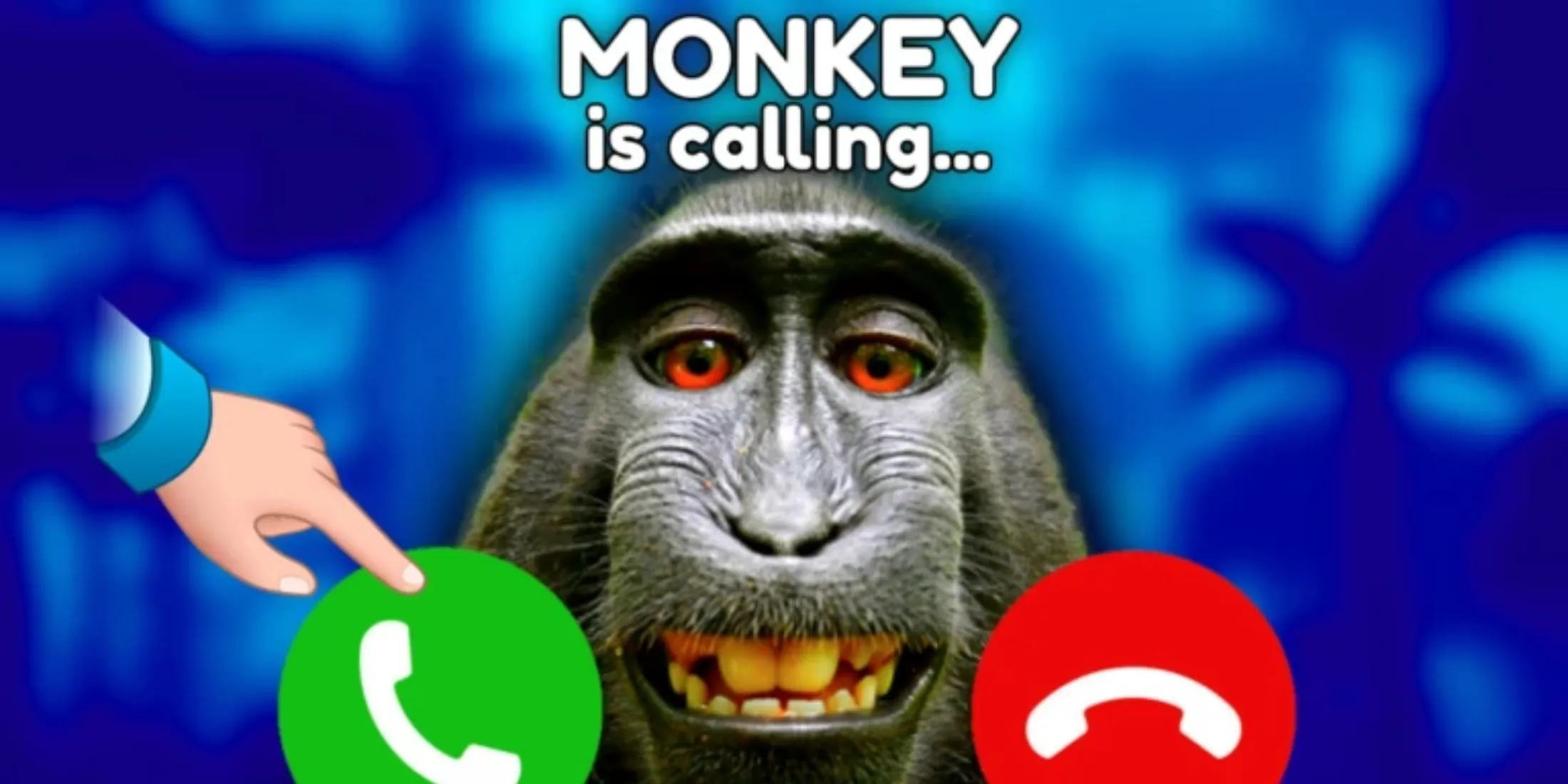 Jeu Monkey Tycoon