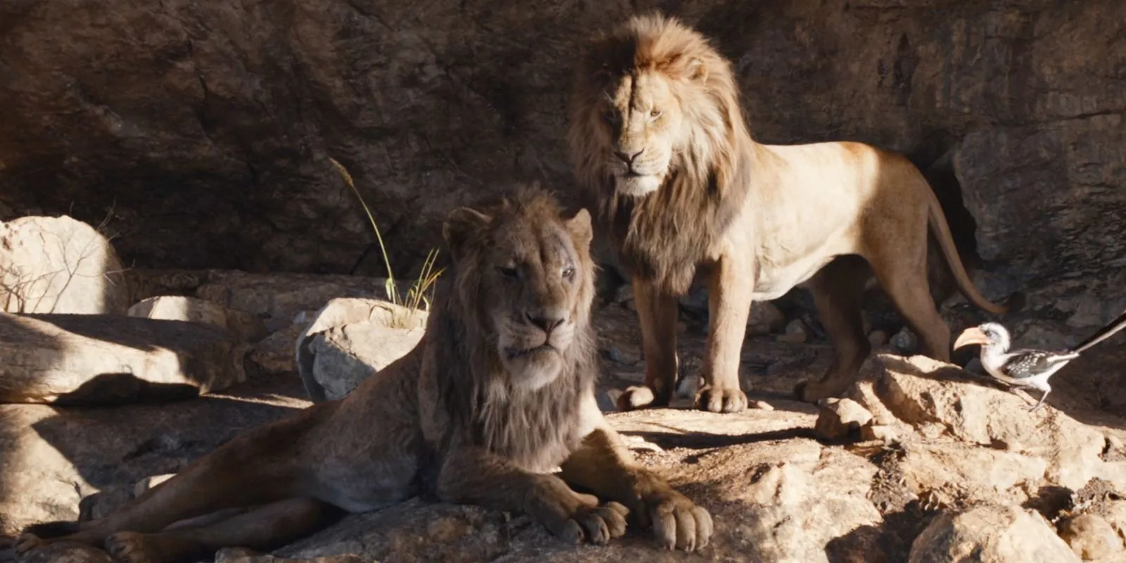 Mufasa und Scar in „Der König der Löwen“