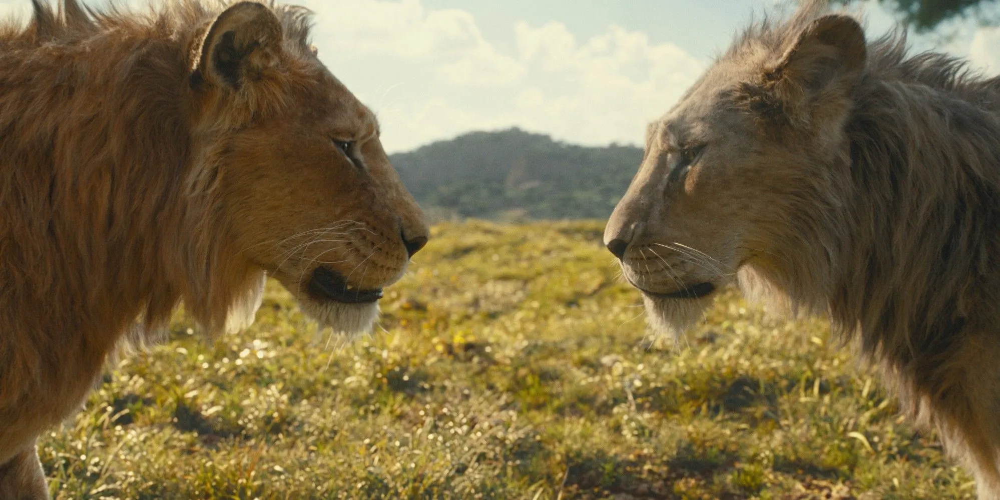 Mufasa and Taka facing each other in Mufasa The Lion King