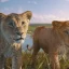 La nuova storia di Mufasa rivela un netto contrasto con Simba nel Re Leone