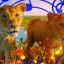 Ranking de todas las canciones de Mufasa: El Rey León