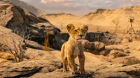 La calificación de Rotten Tomatoes de Mufasa muestra una ligera mejora en comparación con el remake de El Rey León de 2019