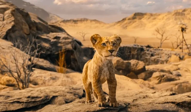 Il punteggio di Mufasa su Rotten Tomatoes mostra un leggero miglioramento rispetto al remake del Re Leone del 2019