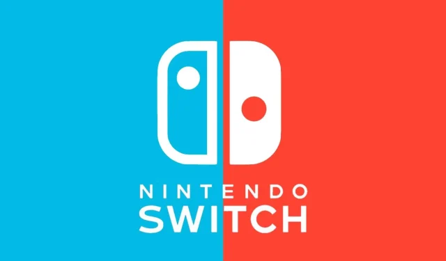 온라인 유출: Switch 2용 신규 액세서리가 소문에 등장