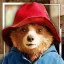 New Paddington Bear Image in Peru: Searching for Aunt Lucy