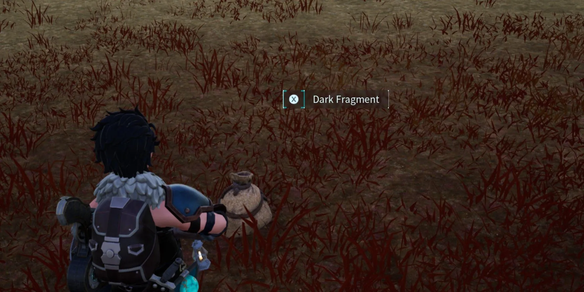 Dark Fragment on ground