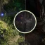 Path of Exile 2: Ein Leitfaden zum Spielen mit Freunden