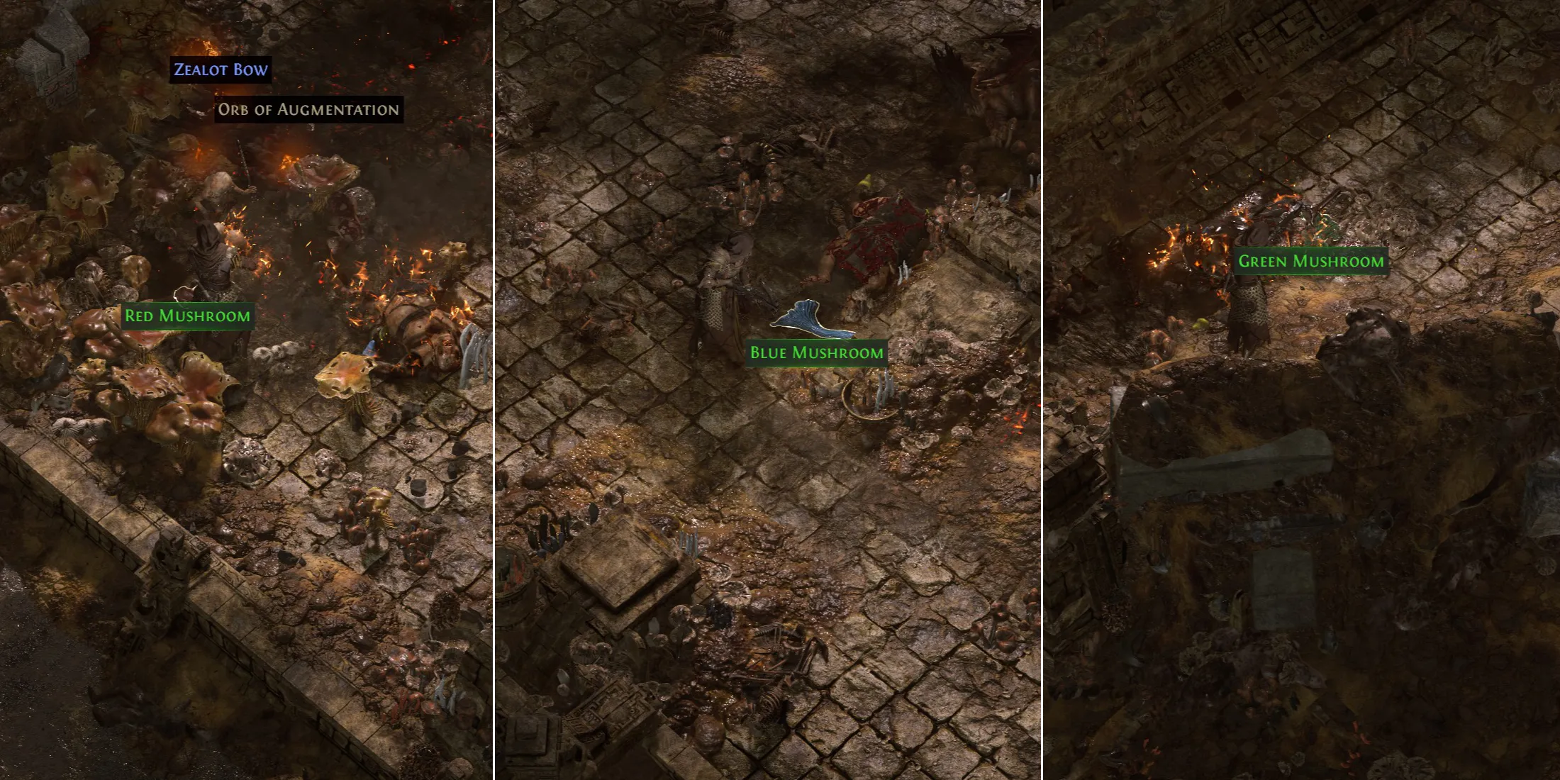 Champignons de Path of Exile 2 Acte 3 Champignon PoE 2