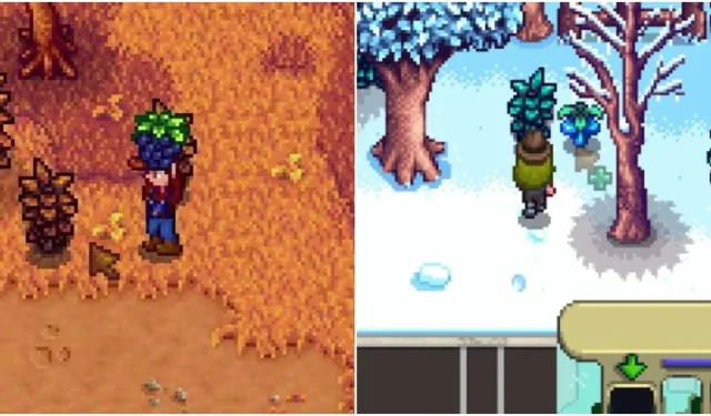 Stardew Valley ガイド: すべての採集アイテムの場所