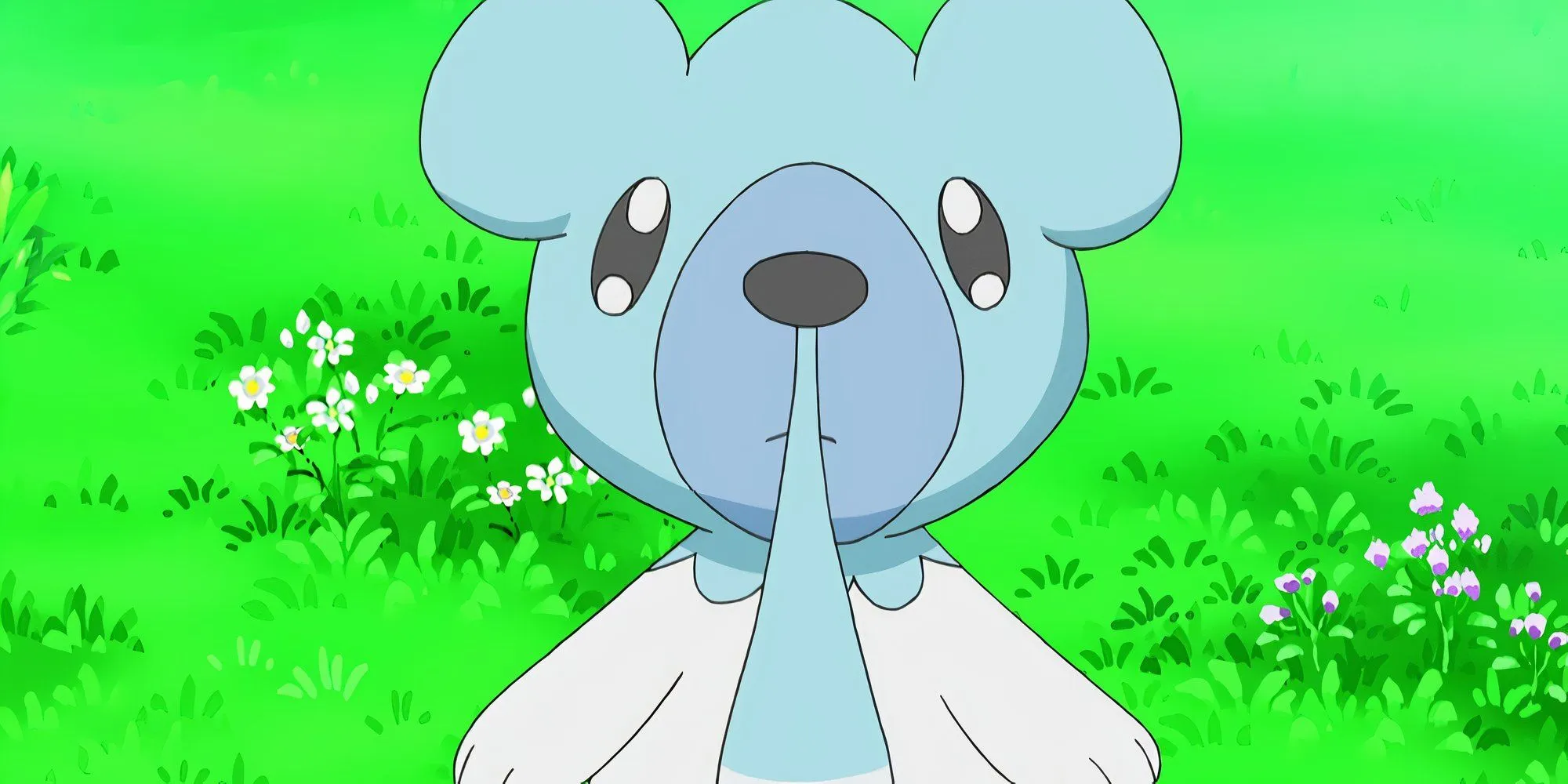 Cubchoo in the Pokémon anime