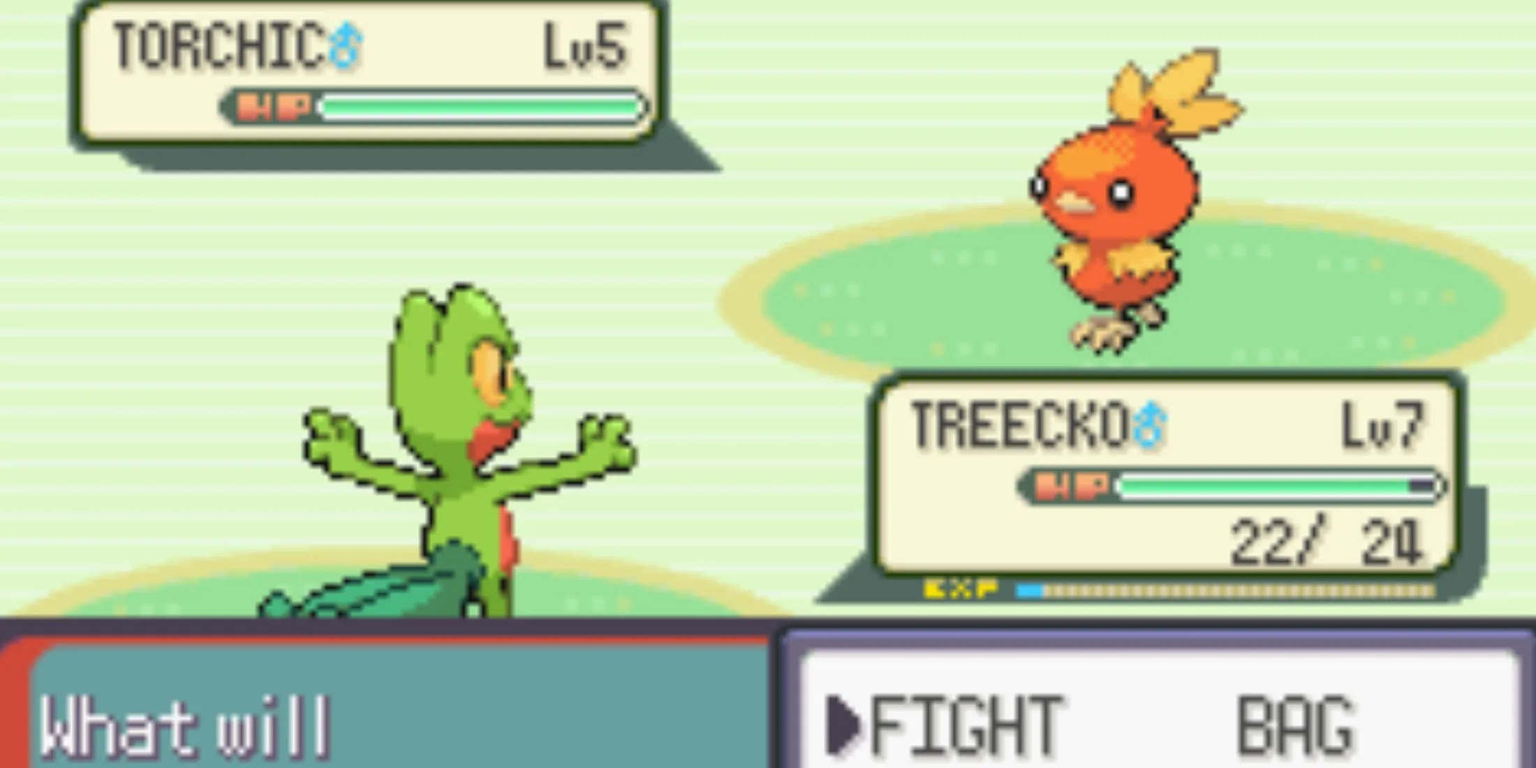 宝可梦绿宝石中的 Treecko 与 Torchic