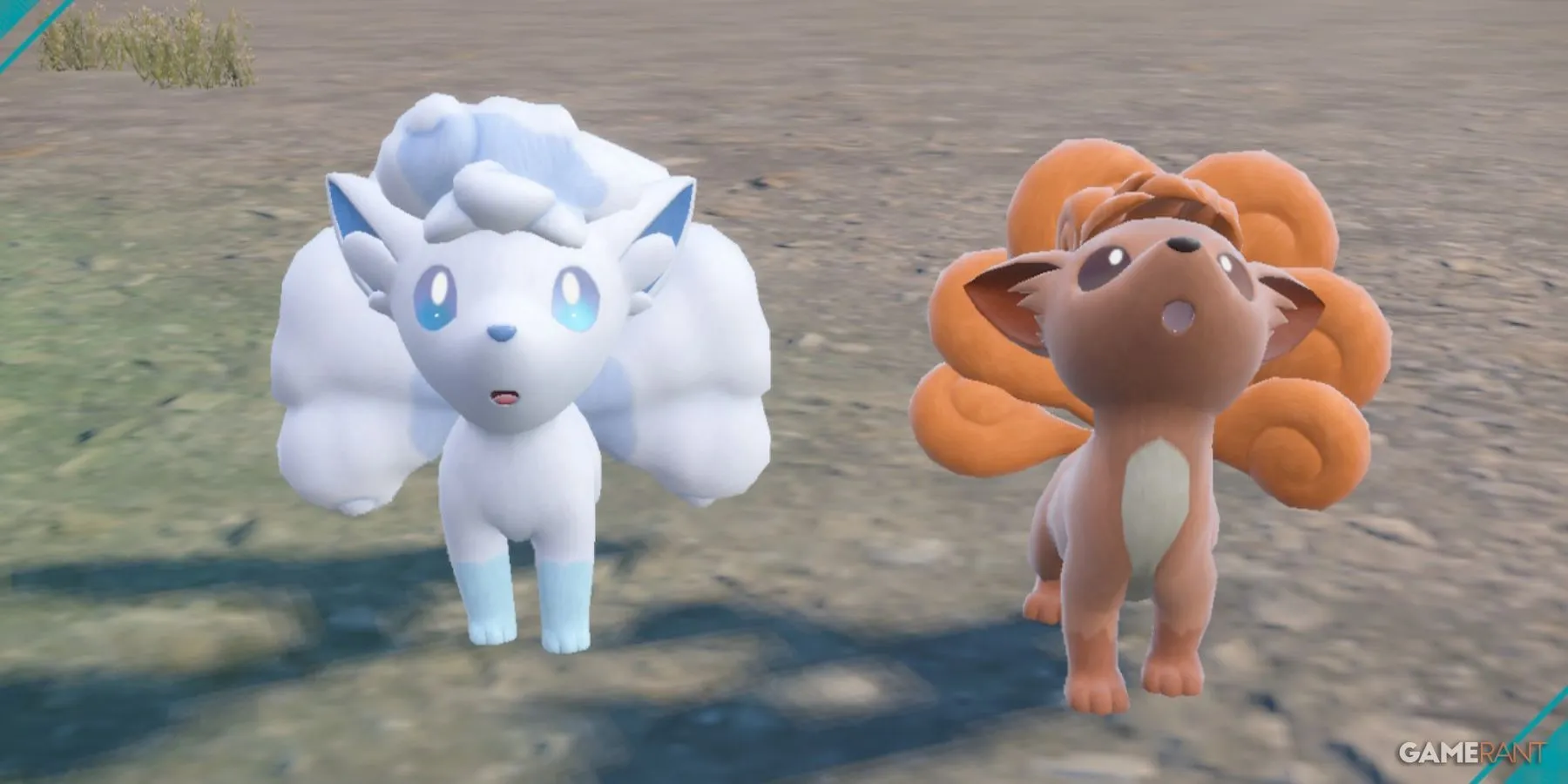 Variante Vulpix Alola