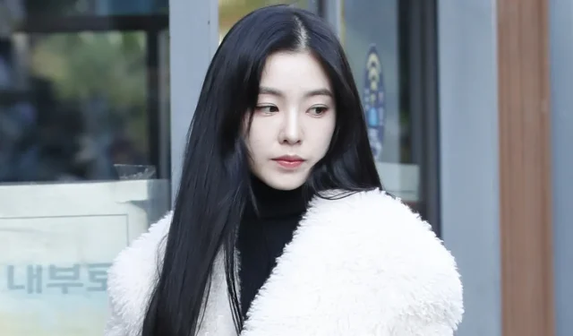 Fan Shares Experience of Sexual Assault by Security Guard at Red Velvet Irene’s Fansign Event