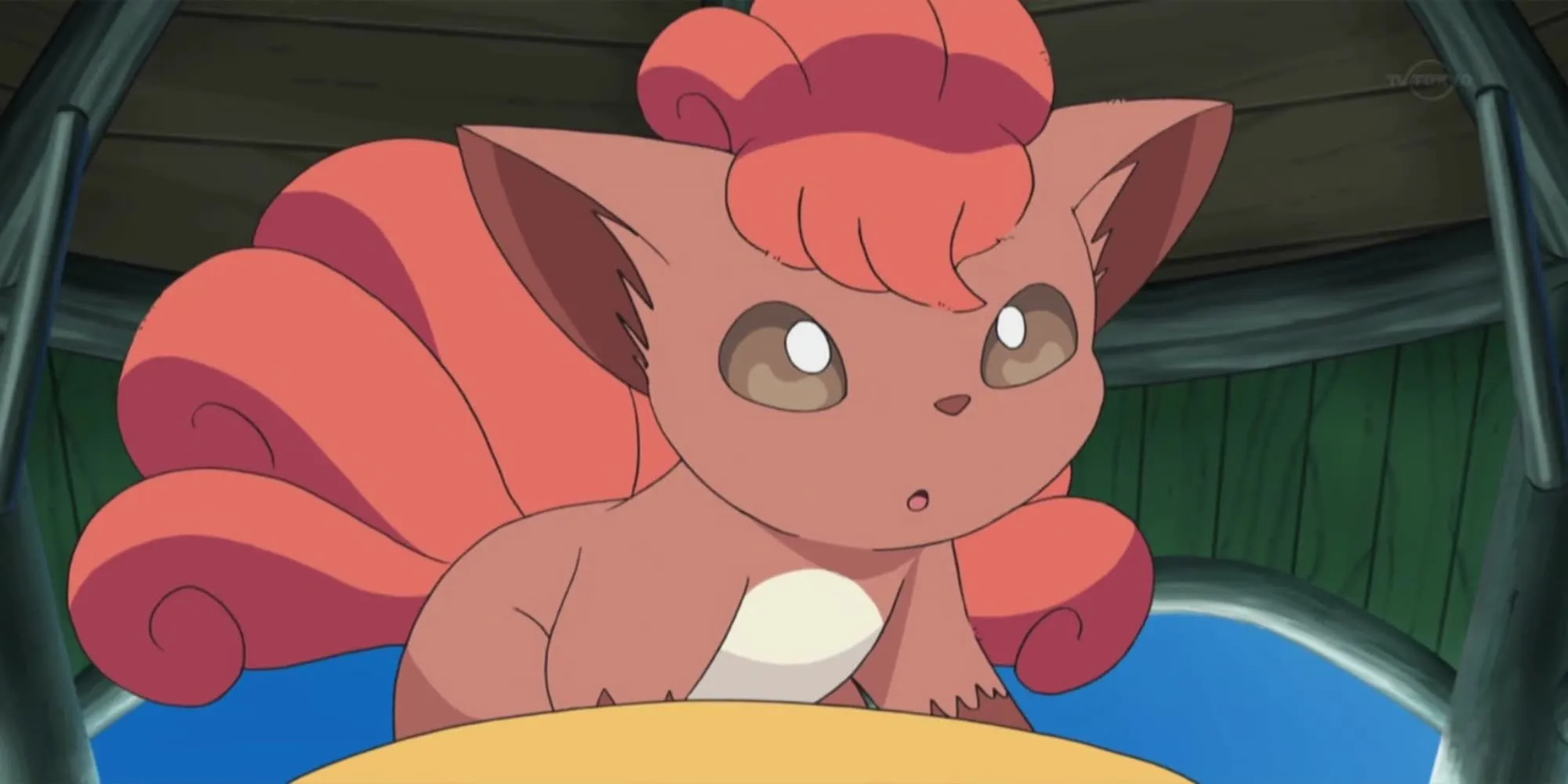 Vulpix de Samson Oak