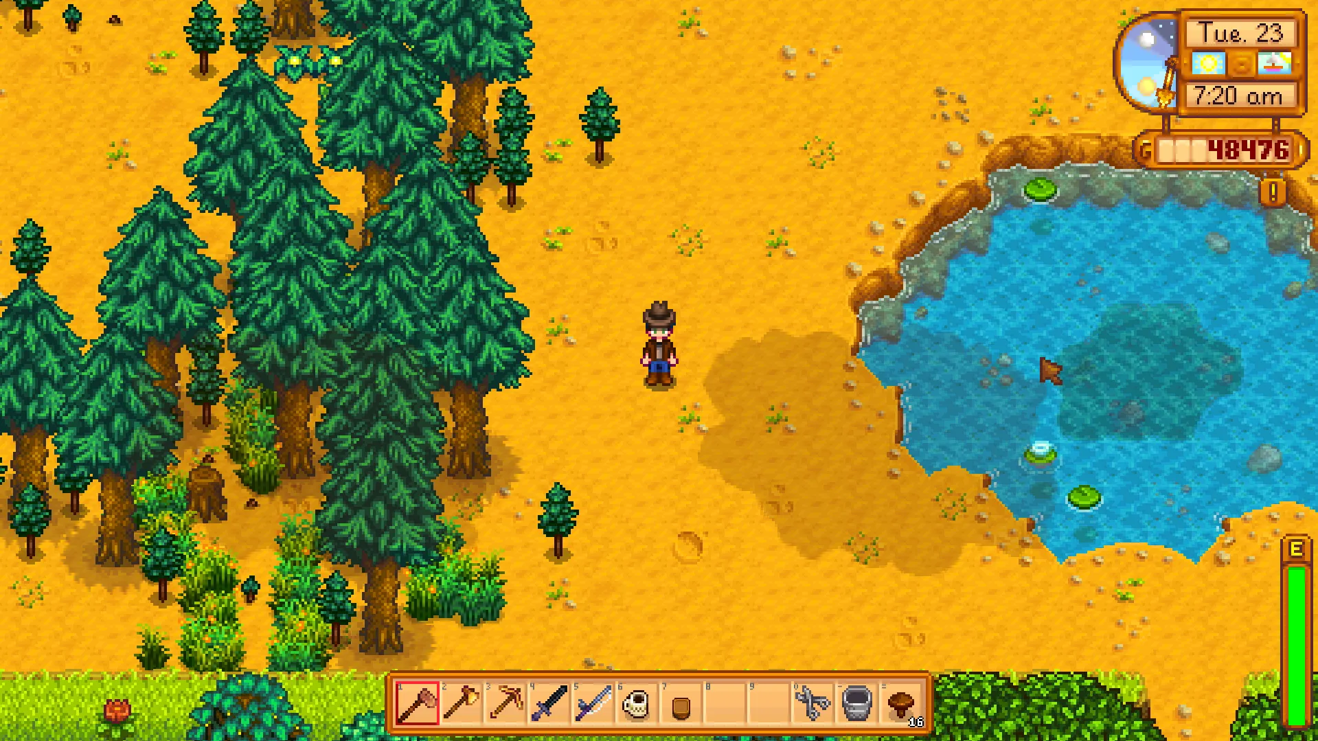 Ein weiterer Stardew Valley-Screenshot