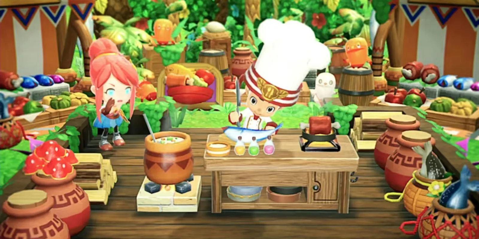 Personnage de chef dans Fantasy Life I