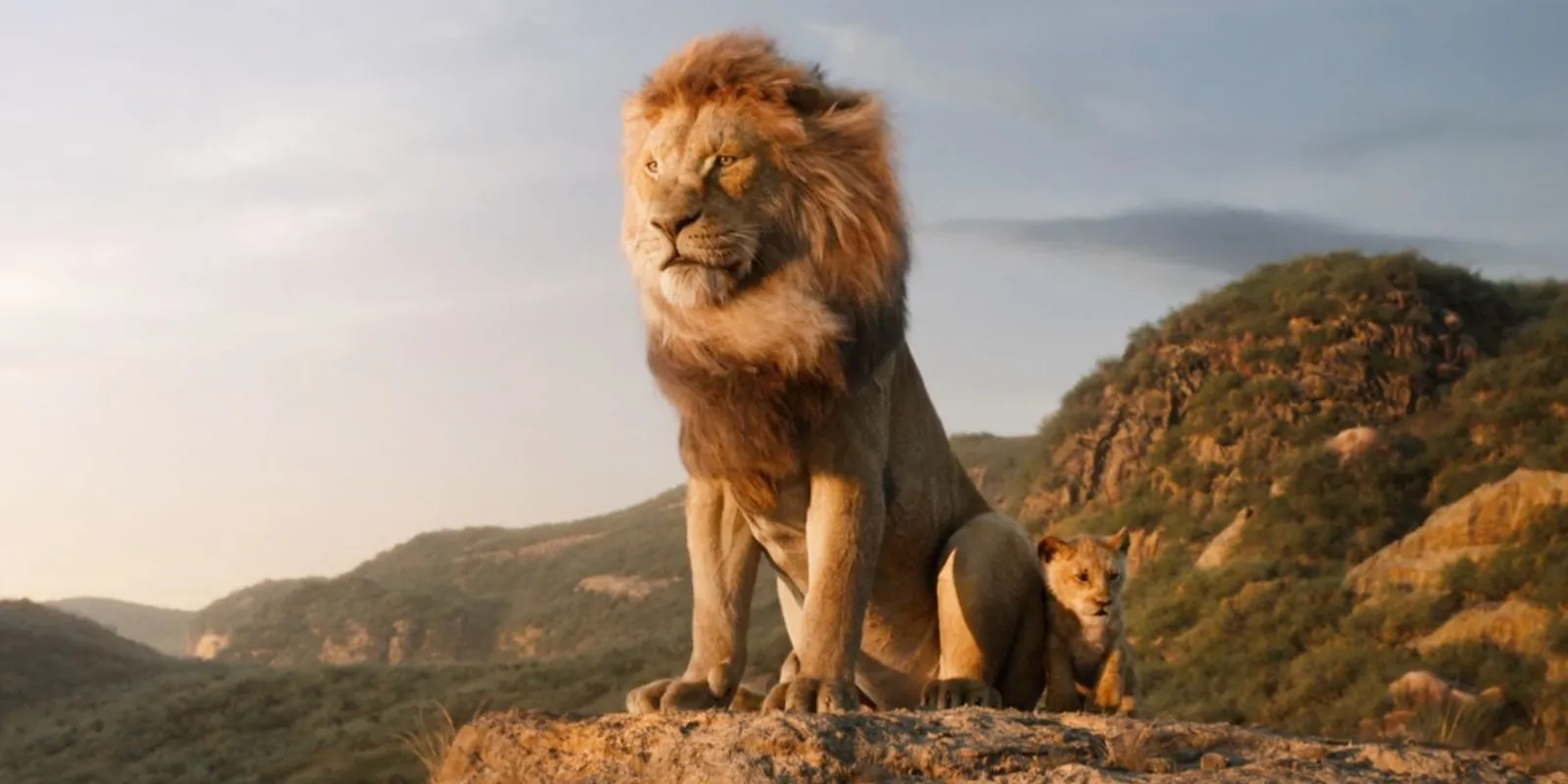 Simba e Mufasa in Il Re Leone (2019)