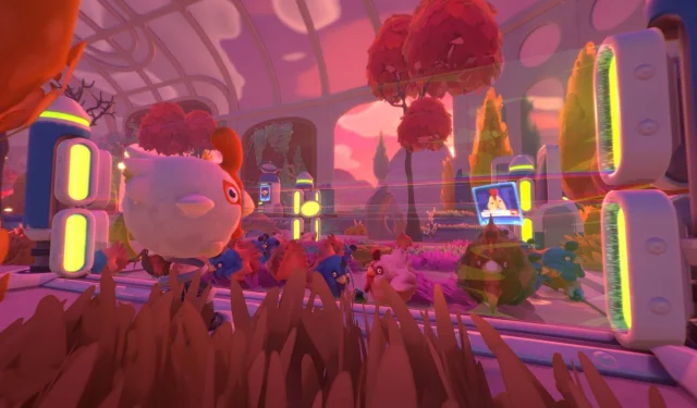 Slime Rancher 2 dévoile sa première mise à jour après 5 mois de silence