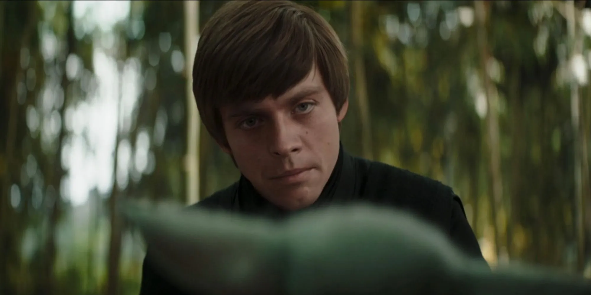 Luke Skywalker con Grogu