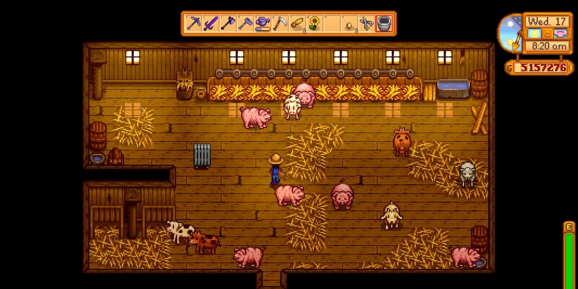 Mit Schweinefarmen in Stardew Valley Geld verdienen